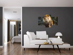 Tablou cu leu în natură (90x60 cm)