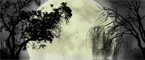 Tablou - Lună plină deasupra apei (120x50 cm)