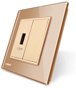 Priza USB Livolo cu rama din sticla