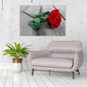 Tablou - Trandafir roșu cu tulpină verde (90x60 cm)