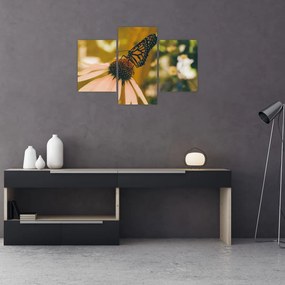 Tablou cu fluture pe floare (90x60 cm)