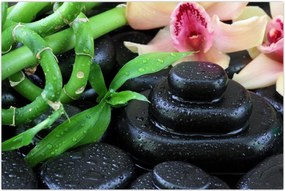 Tablou - Pietre și orhidee (90x60 cm)