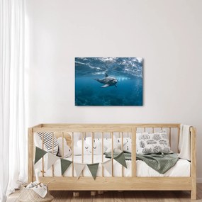 Tablou - Delfin sub apă (70x50 cm)