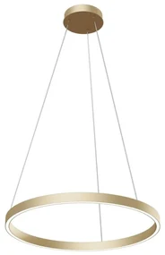 Lustră LED pe cablu Maytoni MOD058PL-L32BS4K RIM LED/37W/230V d. 60 cm auriu