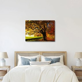 Tablou pe sticlă cu copac toamna (70x50 cm)