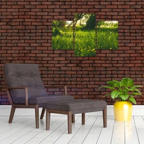 Tablou cu natura - lunca (90x60 cm)
