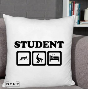 Perna Decorativa Student Life, 40x40 cm, Alb Pufos, Husa Detasabila, Perna Inclusa, BEKZ®