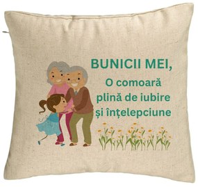 Perna Decorativa pentru Bunici 3, 40x40 cm, Bej, Husa Detasabila, Burduf