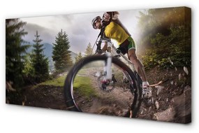 Tablouri canvas Cloud mountain bike