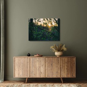 Tablou pe sticlă - Soarele strălucind printre crengile copacilor (70x50 cm)