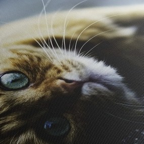 Tablou cu pisica (cu ceas) (90x30 cm)