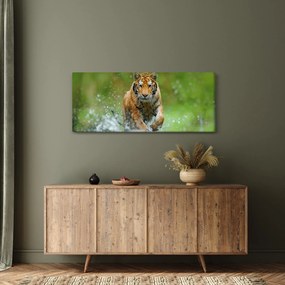Tablou - Tigru care aleargă (120x50 cm)