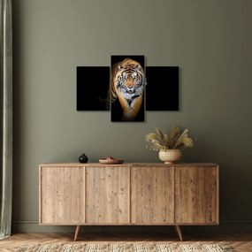 Tablou - Tiger (90x60 cm)