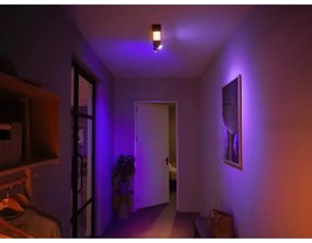 Philips LED RGBW Hue CENTRIS spot reglabil 2xGU10/4,2W + LED/11W