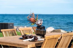 Volos masă de grădină, tec, natural, 100x240x75 cm