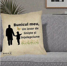 Cadou pentru Bunic - Perna Personalizata Bunicul Meu Izvor de Liniste cu Fluture si Baietel, 40x40 cm, Crem, Husa Detasabila, Perna Inclusa, BEKZ®
