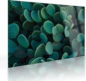 Tablou pe sticlă - Opuntia (70x50 cm)