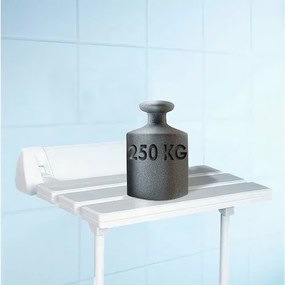 SAPHO A0020301 Scaun pliabil pentru cabine de dușcu suport, alb