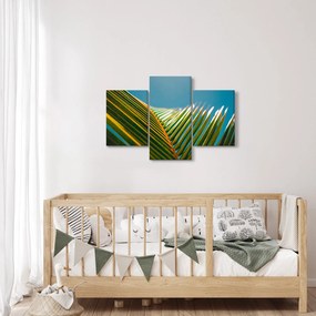 Tablou - Frunze de palmier (90x60 cm)