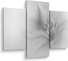 Tablou - Crin delicat (90x60 cm)