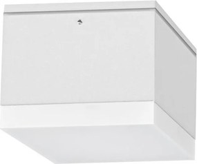 Palnas 66001470 - Plafonieră LED exterior BRUNO LED/10W/230V IP54