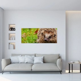 Tablou cu arici (120x50 cm), în 40 de alte dimensiuni noi