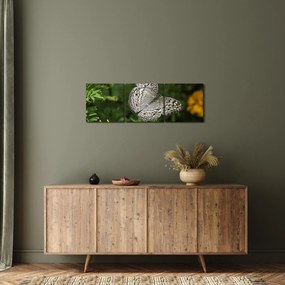Tablou - fluture alb (cu ceas) (90x30 cm)