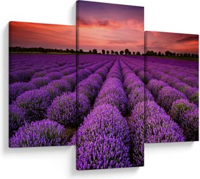 Tablou - Câmp de lavandă (90x60 cm)