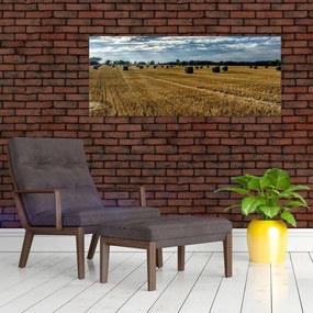 Tablou cu câmp recoltat (120x50 cm)