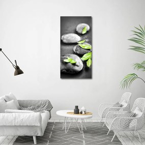 Tablou canvas Frunze zen pietre