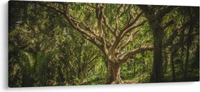 Tablou cu copaci (120x50 cm)