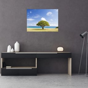 Tablou pe sticlă plaja cu copac (70x50 cm)