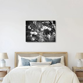 Tablou pe sticlă - Pânza de păianjen în pajiște (70x50 cm)