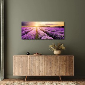 Tablou - Răsărit de soare în câmp de lavandă (120x50 cm)