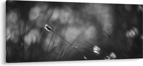 Tablou - Iarbă de pajiște (120x50 cm)