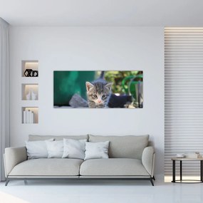 Tablou cu pisicuțe (120x50 cm), în 40 de alte dimensiuni noi