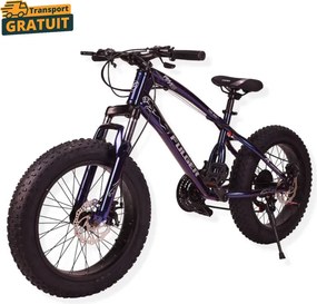 Bicicleta FatBike Fulger by Caraiman, roti 20 inch, cauciucuri groase, frane pe disc, cameleon