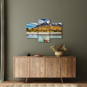 Tablou - Parcul Național Torres del Paine (90x60 cm)