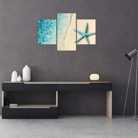 Tablou - Stea de mare pe plajă (90x60 cm)