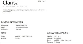 Tablou de perete decorativ Clarisa, 80x120cm