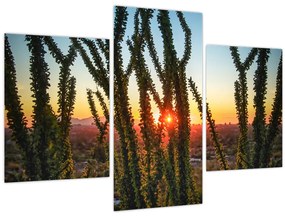 Tablou - Plante (90x60 cm)