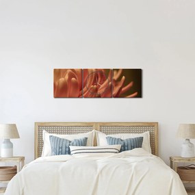 Tablou cu detailu florii (cu ceas) (90x30 cm)
