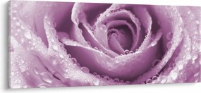 Tablou detaliu de floare de trandafir (120x50 cm)