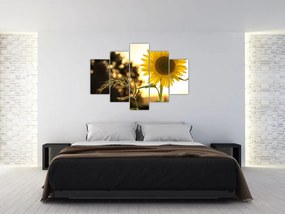 Tablou cu floarea soarelui (150x105 cm)