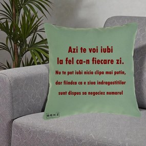 Cadou pentru Iubita - Perna Personalizata Azi Te Voi Iubi, 40x40 cm, Verde, Husa Detasabila, Perna Inclusa, BEKZ®
