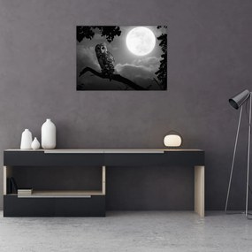 Tablou pe sticlă - Bufniță de noapte, alb și negru (70x50 cm)