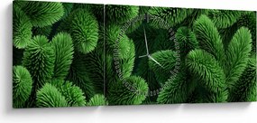 Tablou - Ramuri de conifere (cu ceas) (90x30 cm)