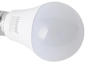 Set 5 becuri Becuri LED inteligente E27 A60 mat RGBW 9W 806lm 2700-6500K