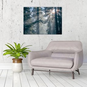 Tablou pe sticlă cu copaci și soarele translucind (70x50 cm)