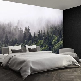 Fototapet Mountain Forest